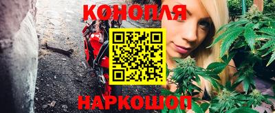 прущие грибы Балашиха