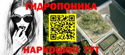 прущие крисы Беслан