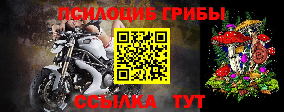 Гурьевск  Псилоцибиновые грибы Psilocybe  Вход с VPN 