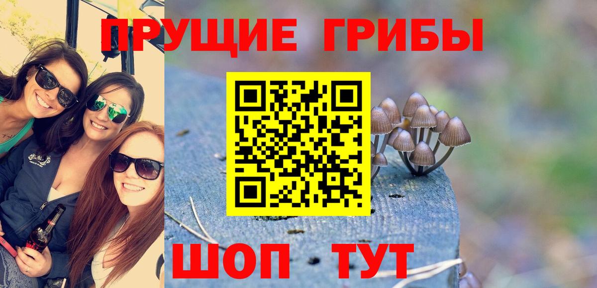 Псилоцибиновые грибы прущие грибы Гурьевск
