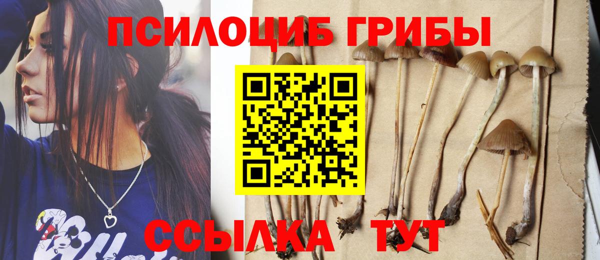 Псилоцибиновые грибы ЛСД  Гурьевск  Псилоцибиновые грибы мухоморы 