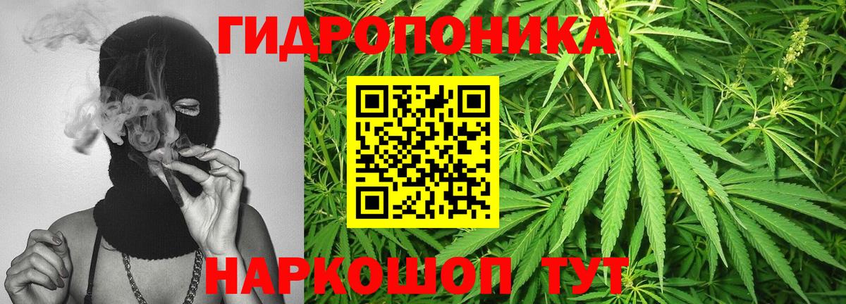 Канабис Bruce Banner Гурьевск